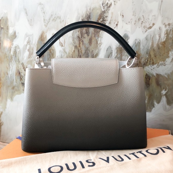 Rare Louis Vuitton Ombré Capucines MM Leather Bag - Picture 4 of 9